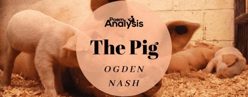 The Pig by Ogden Nash