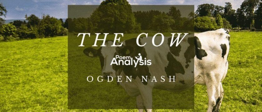 The Cow by Ogden Nash