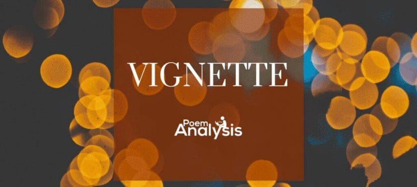What is a Vignette? - Definition, Explanation and Examples 