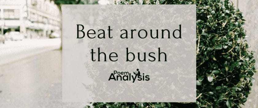 Beat around the bush - Idiom Meaning and Origin