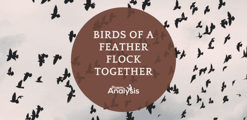 "Birds of a feature flock together" - Idiom Meaning and Origin
