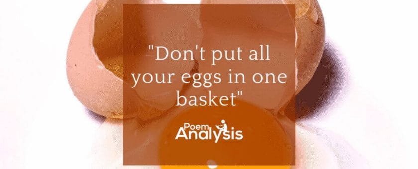 Don't put all your eggs in one basket idiom