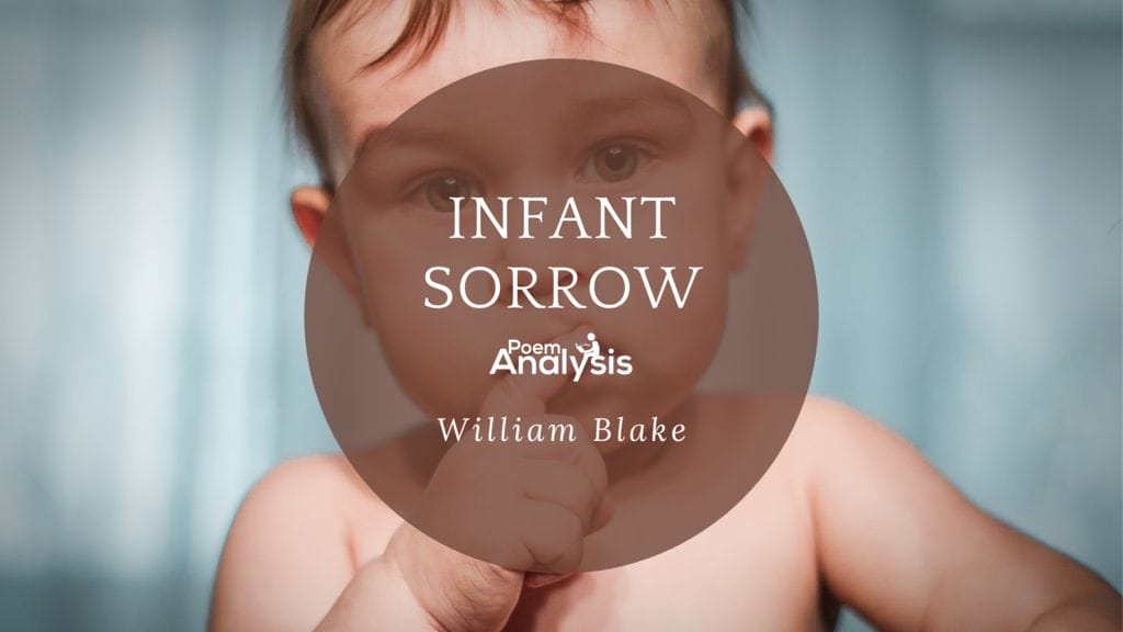 infant joy infant sorrow