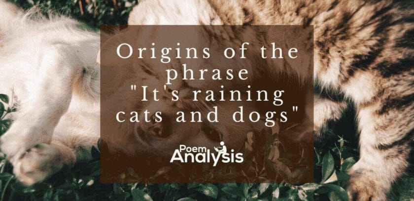 Origins of the Phrase "It's Raining Cats and Dogs"