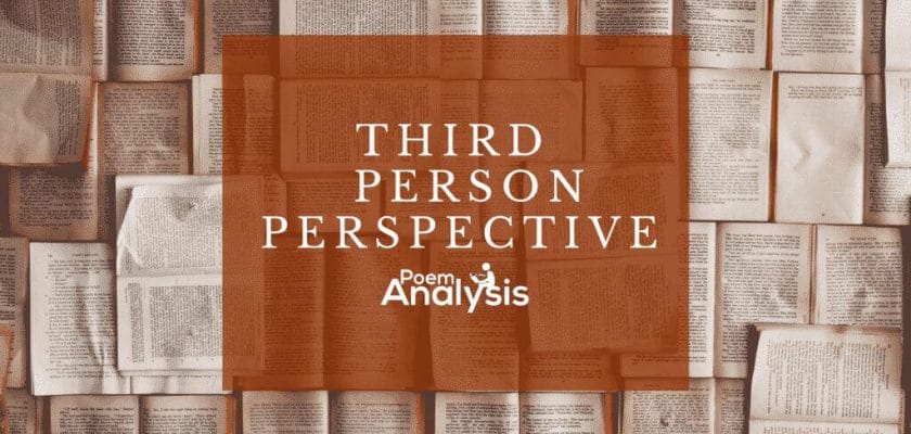 What is Third Person Point of View? Definition, Explanation and Examples