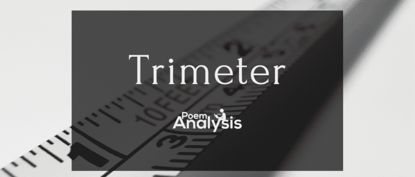 What is Trimeter? Definition, Explanation and Examples