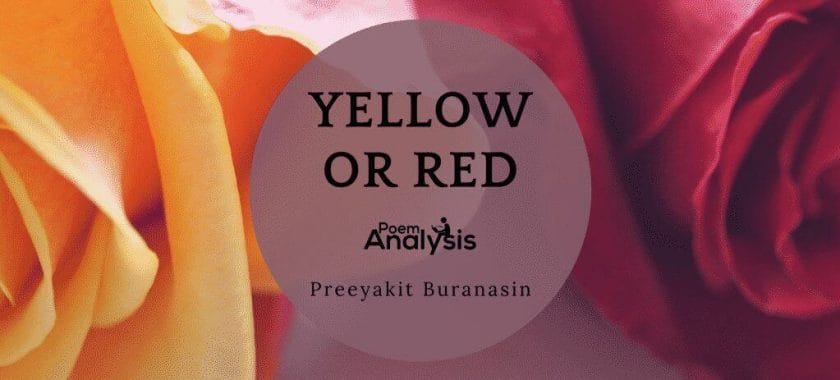 Yellow or Red by Preeyakit Buranasin