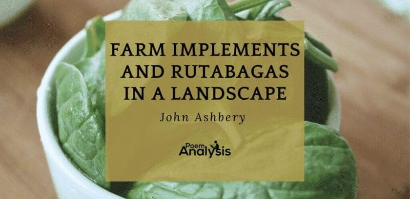 Farm Implements and Rutabagas in a Landscape by John Ashbery