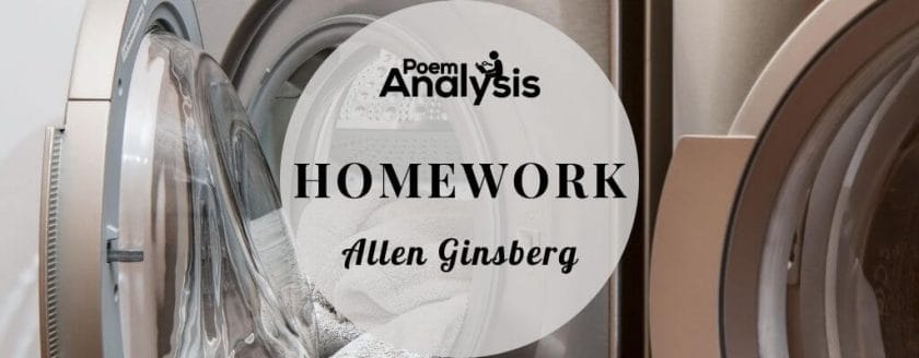 Homework by Allen Ginsberg