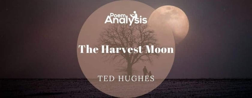 The Harvest Moon by Ted Hughes