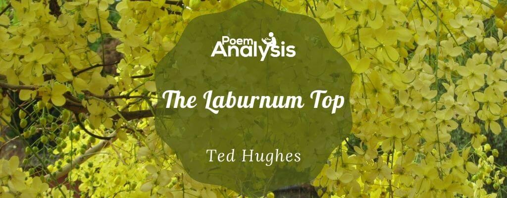 Laburnum Top by Ted Hughes Analysis
