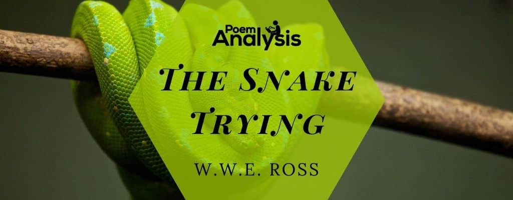 analysis of snake by dh lawrence