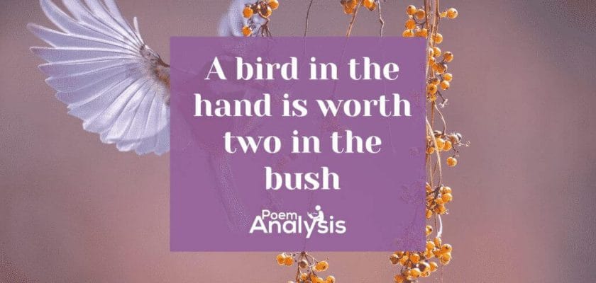 A bird in the hand is worth two in the bush idiom