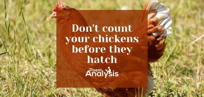 Don’t count your chickens before they hatch