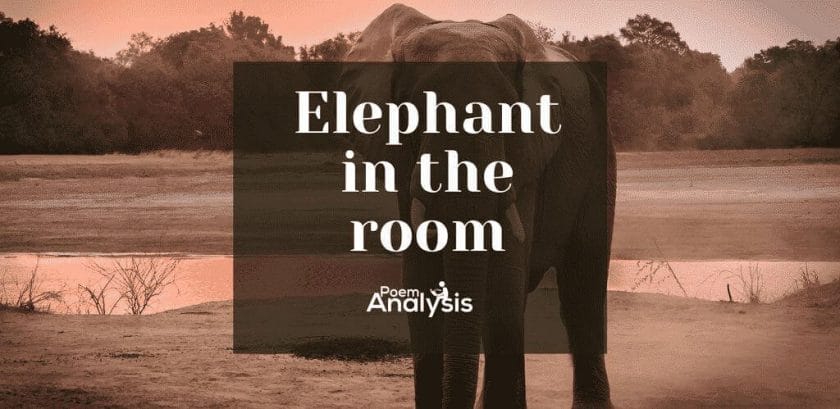 Elephant in the room idiom