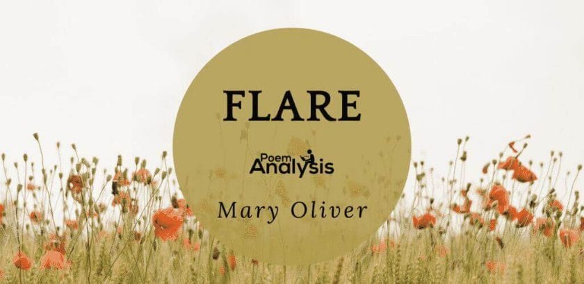 Flare by Mary Oliver