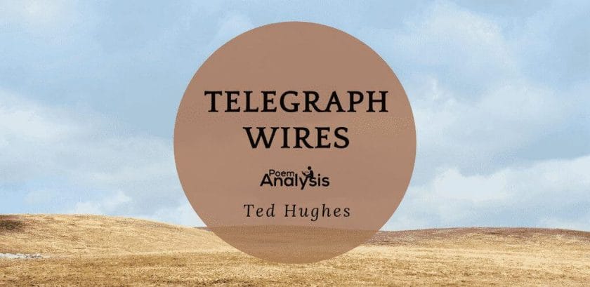 Telegraph Wires by Ted Hughes