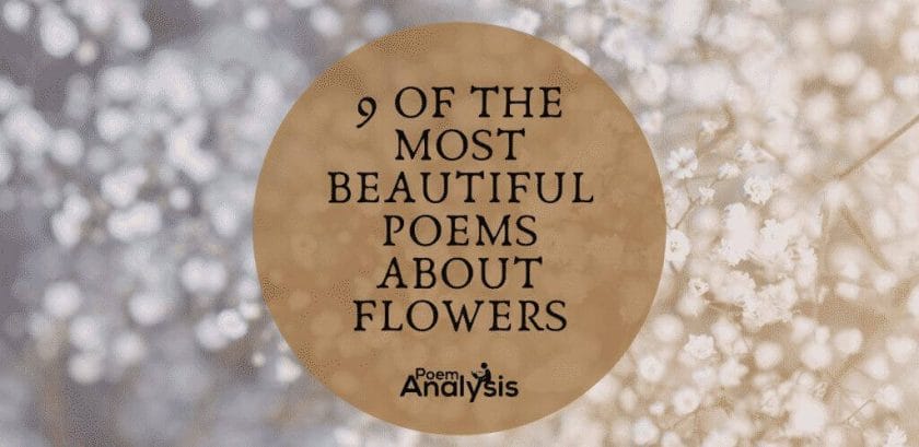 Beautiful Poems About Flowers