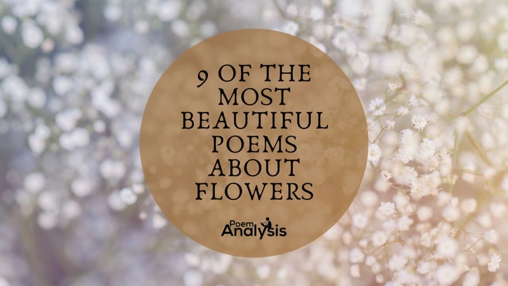 9 Of The Most Beautiful Poems About