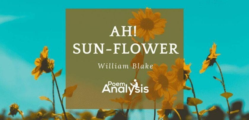Ah! Sun-flower by William Blake