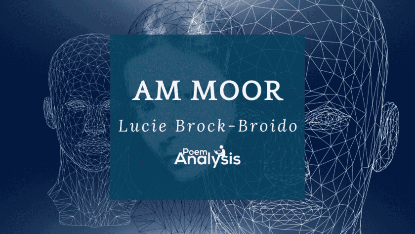 Am Moor by Lucie Brock-Broido