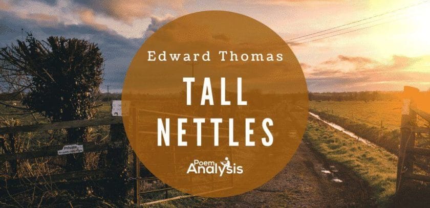 Tall Nettles by Edward Thomas