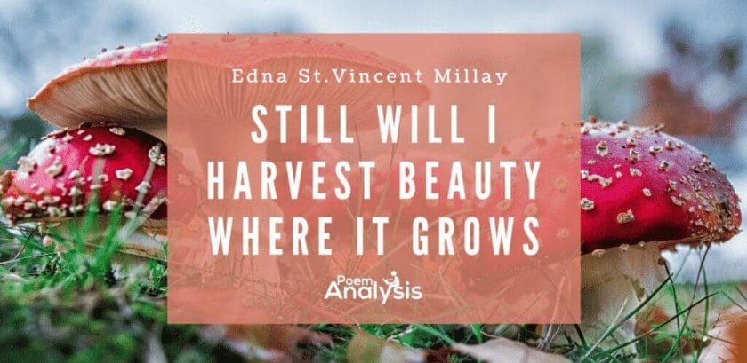 Still will I harvest beauty where it grows by Edna St. Vincent Millay