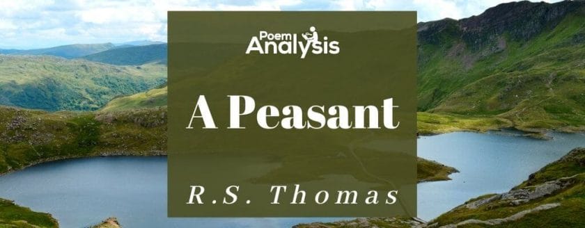A Peasant by R.S. Thomas