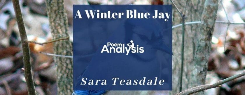 A Winter Blue Jay by Sara Teasdale