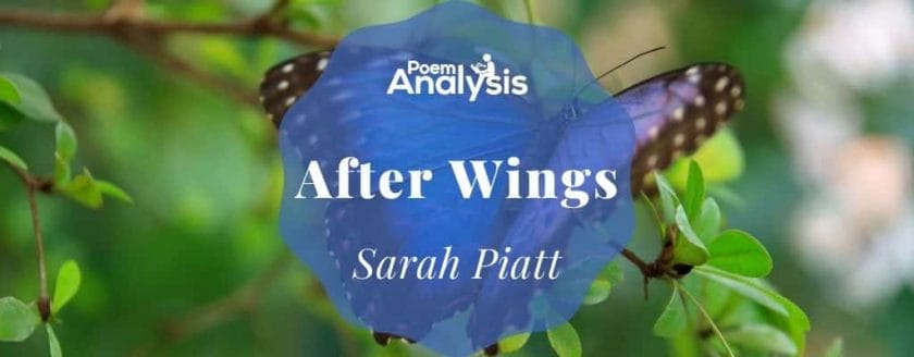 After Wings by Sarah Piatt