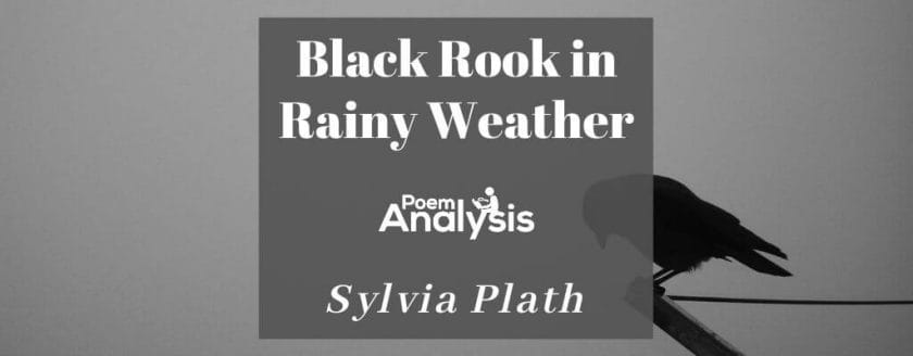 Black Rook in Rainy Weather by Sylvia Plath