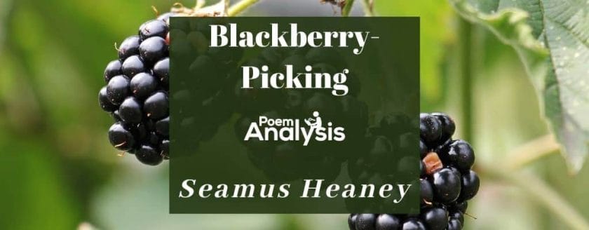 Blackberry-Picking by Seamus Heaney