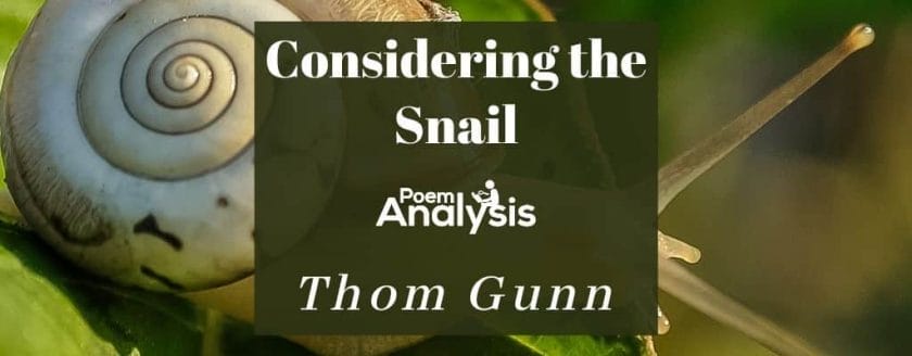 Considering the Snail by Thom Gunn
