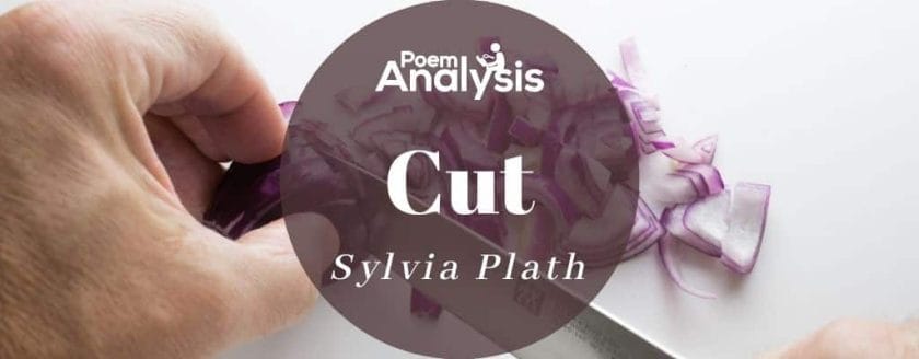 Cut by Sylvia Plath