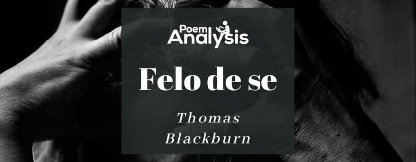 Felo de se by Thomas Blackburn