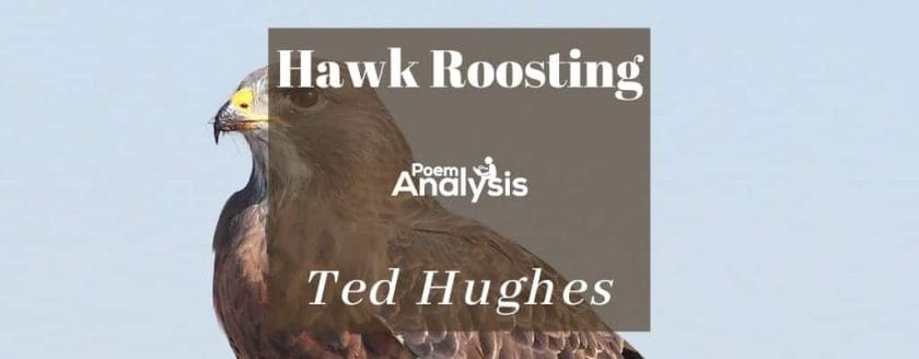 Hawk Roosting by Ted Hughes