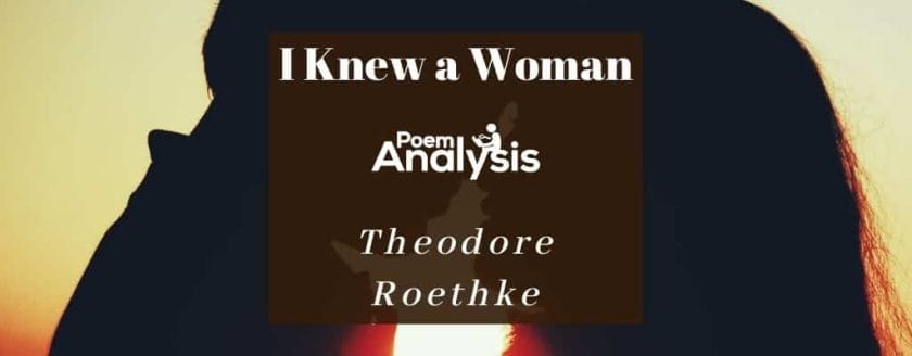 I Knew a Woman by Theodore Roethke