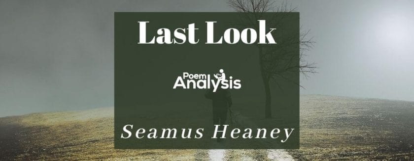 Last Look by Seamus Heaney