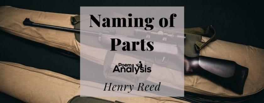 Naming of Parts by Henry Reed