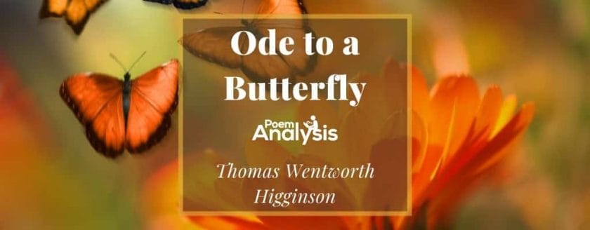 Ode to a Butterfly by Thomas Wentworth Higginson