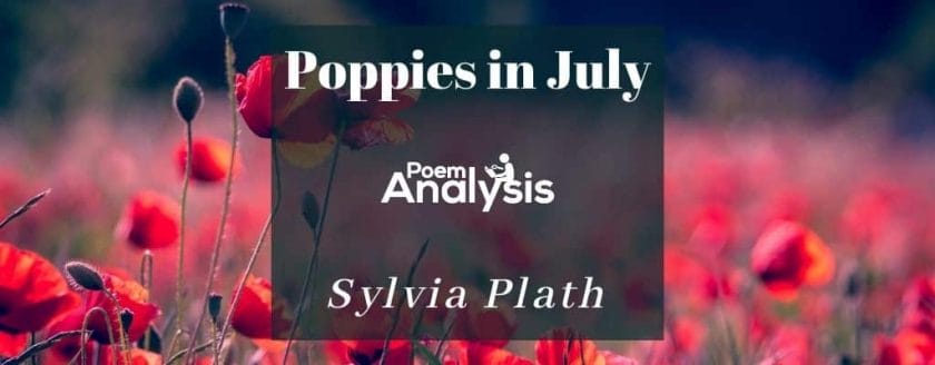 Poppies in July by Sylvia Plath