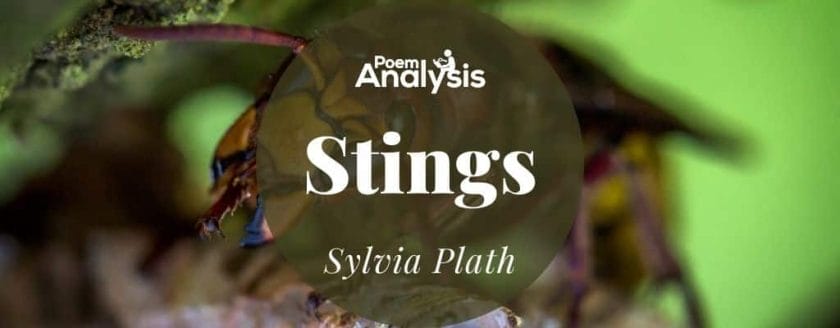 Stings by Sylvia Plath 