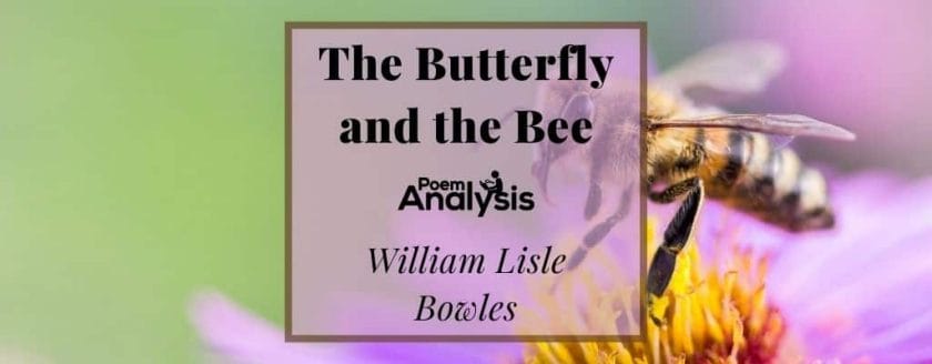 The Butterfly and the Bee by William Lisle Bowles