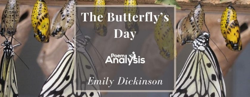 From cocoon forth a butterfly by Emily Dickinson