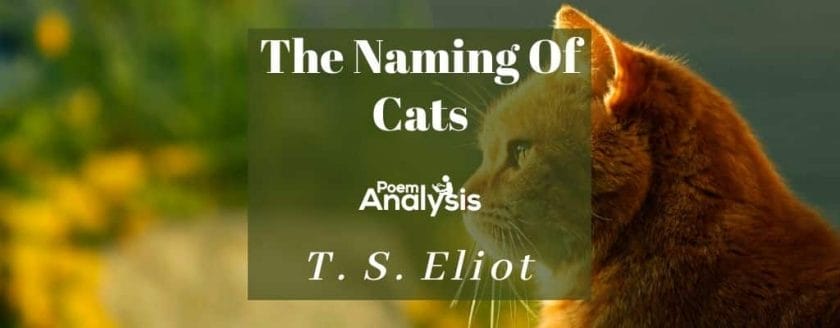 The Naming Of Cats by T. S. Eliot