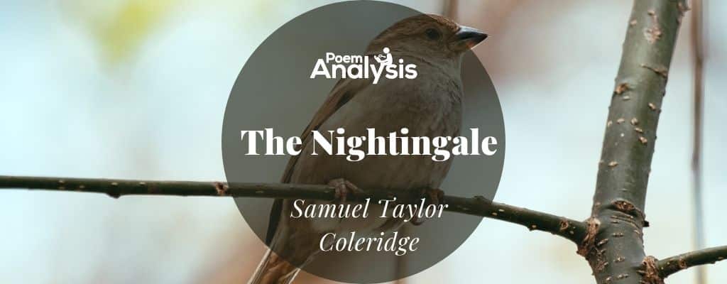 Nightingale Soul Call