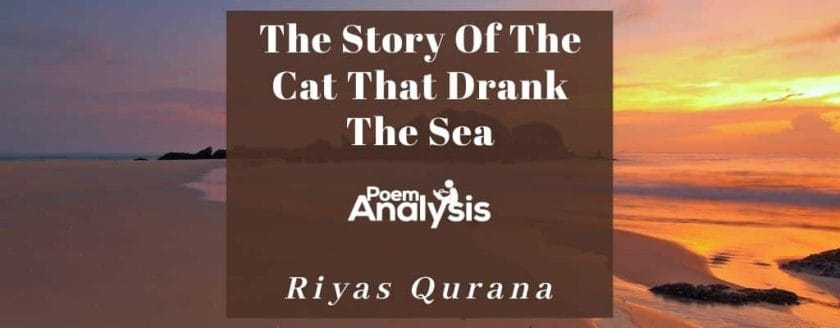 The Story Of The Cat That Drank The Sea by Riyas Qurana