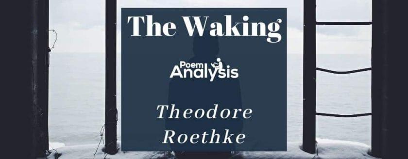 The Waking by Theodore Roethke
