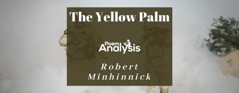 The Yellow Palm by Robert Minhinnick