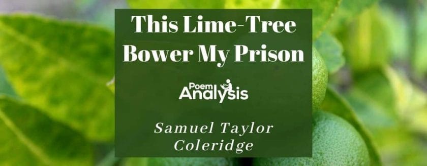 This Lime-Tree Bower My Prison by Samuel Taylor Coleridge